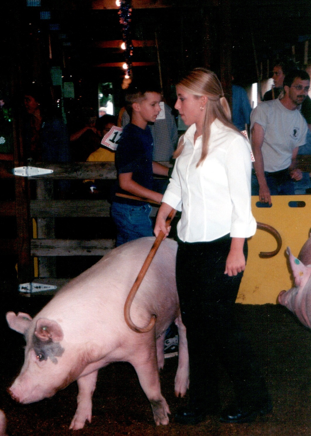Holly all prettied up to show a pig!!